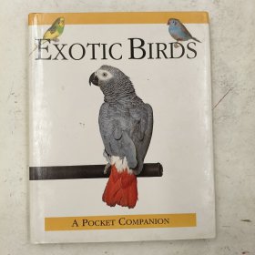 Exotic Birds (Pocket Companion)