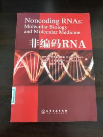 非编码RNA