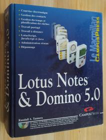 法文原版书 Lotus Notes & Domino 5 (CD rom) Relié – 23 novembre 1999 de Randall A. Tamura  (Auteur)