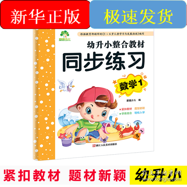 幼升小整合教材 同步练习数学 
