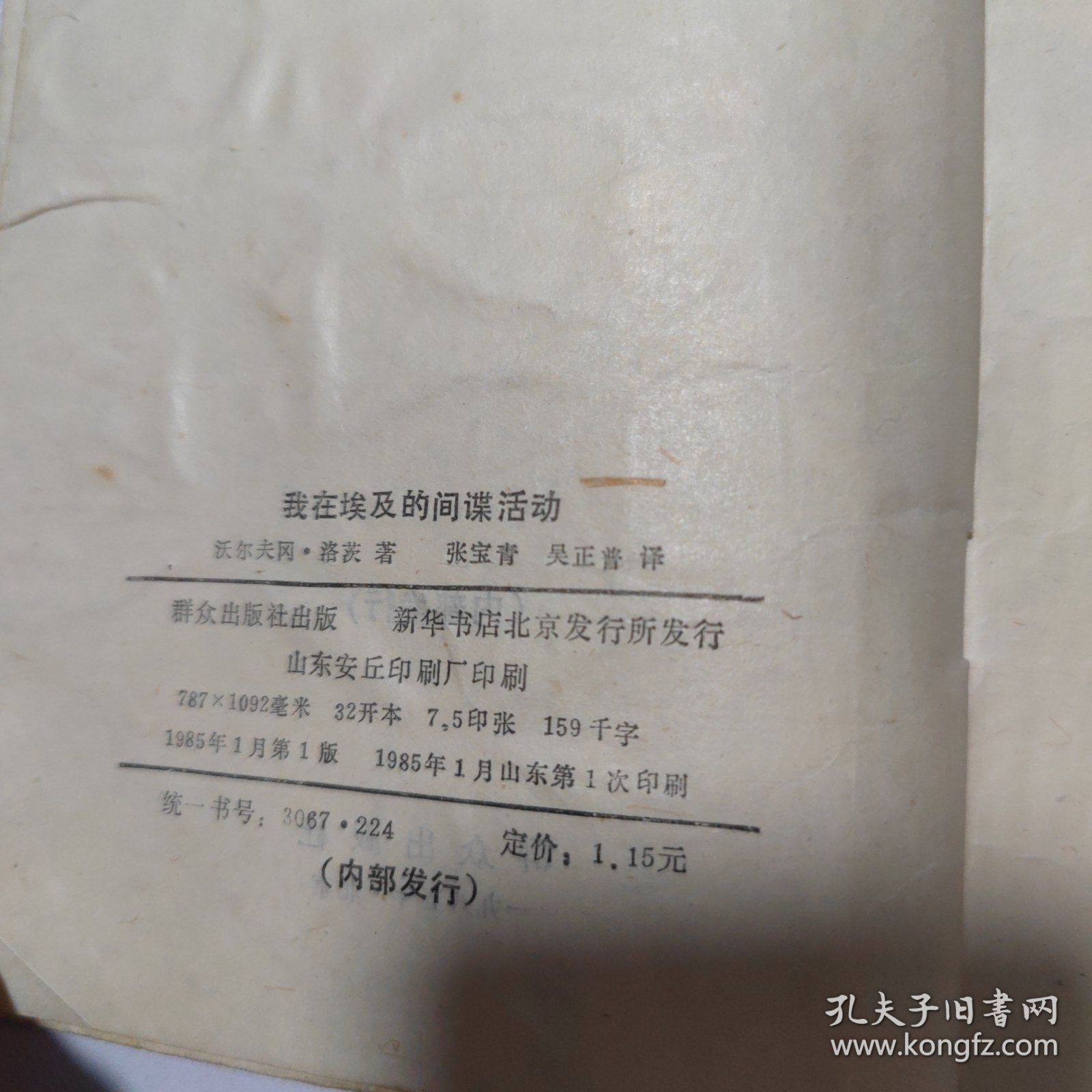 我在埃及的间谋活动:一版一印