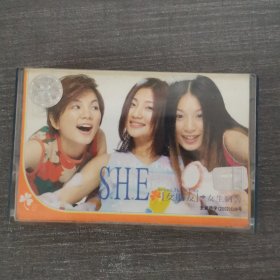 528磁带：S.H.E 女朋友 粉卡 附歌词