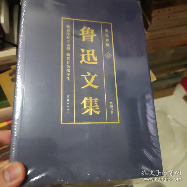 彩色详解 鲁迅文集（套装4册）