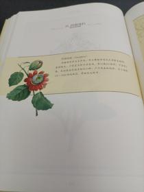 雷杜德手绘花卉图谱