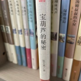 宝葫芦的秘密