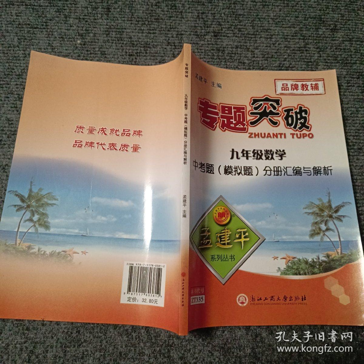 专题突破：九年级数学 中考题（模拟题）分册汇编与解析【内容全新】