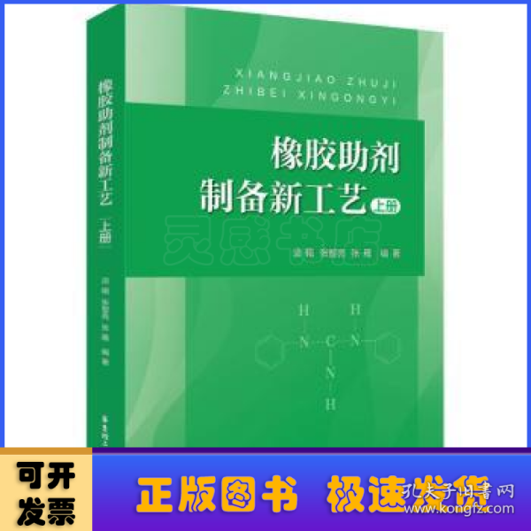 橡胶助剂制备新工艺（上册）