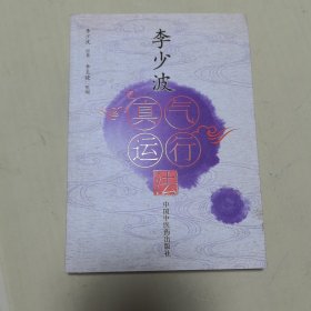 李少波真气运行法