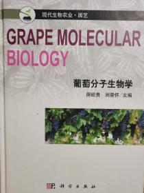 葡萄分子生物学