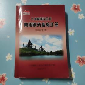 大中型钢铁企业常用财务指标手册（2019年度）