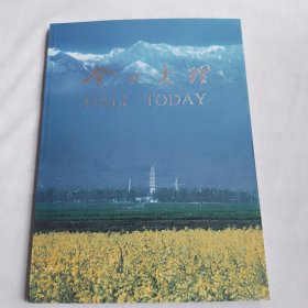 今日大理（16开铜版老画册）