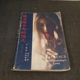 查泰莱夫人的情人全译本