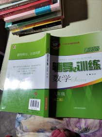 新思路辅导与训练 数学 九年级（第二版）