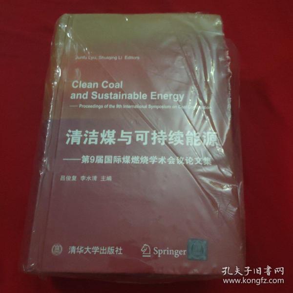 Clean Coal and Sustainable Energy-Proceedings of the 9th International Symposium on Coal Combustion(清洁煤与可持续能源-第9届国际煤燃烧学术会议论文集)
