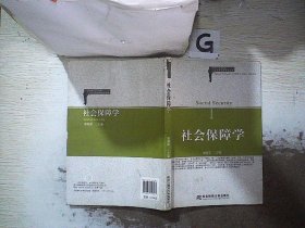 21世纪高等院校人力资源管理精品教材：社会保障学