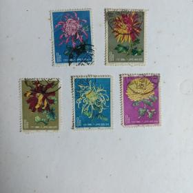 特44菊花邮票，只有5枚散票，品相有一张18～4有些薄。