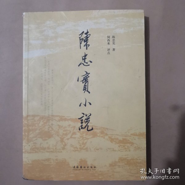 陈忠实小说