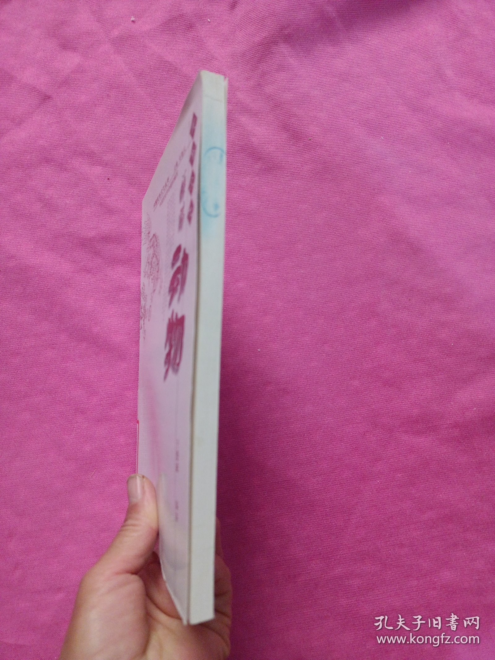 点击查看原图 中国民俗文化丛书:祥瑞动物