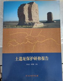 中日韩合作丝绸之路沿线文物保护修复技术人员培养计划丛书：土遗址保护研修报告