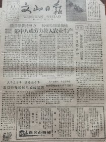 《文山日报》【文山县）攀枝花管理区集中八成劳力投入农业生产；山东德州市曹村公社播种照片；（广南县）莲蓬公社两路出征猛攻第一道防线；（西畴县）马街公社栽插进度翻三番；八布河畔玉米黄】