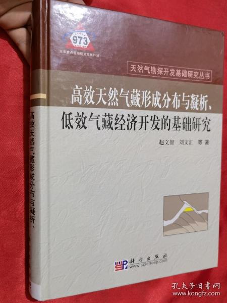 高效天然气形成分布与凝析、低效气藏经济开发的基础研究