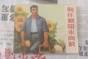 胸怀朝阳永向前