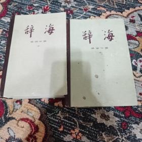 辞海 语词分册 上下