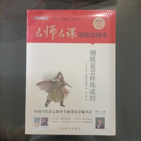 钢铁是怎样炼成的（无删减原著版）名师名课旁批注释本 塑封新书