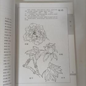 中国画实用范图：白描花卉