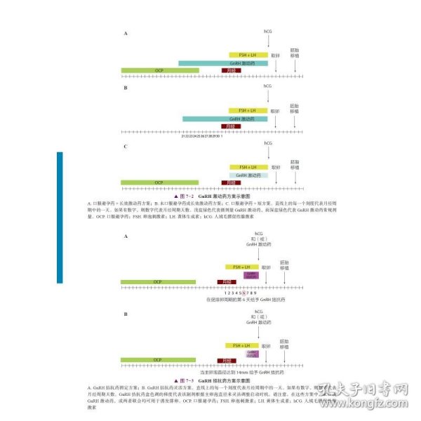 卵巢储备功能减退与辅助生殖技术：研究现状与临床实践