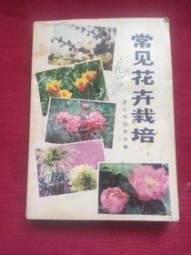 常见花卉栽培