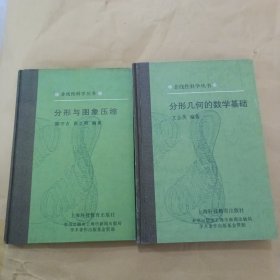 非线性科学丛书：分形几何的数学基础、分型与图像压缩2册合售