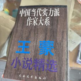 王蒙小说精选