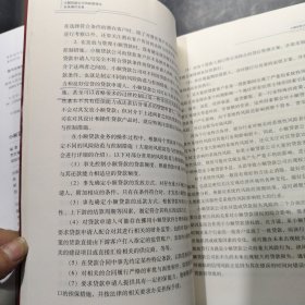 小额贷款公司风险管理与业务操作实务