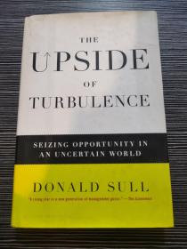 The Upside of Turbulence：Seizing Opportunity in an Uncertain World  动荡的好处:在不确定的世界中抓住机遇