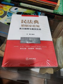 民法典婚姻家庭编条文精释与案例实务