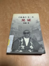 见证(《沧海》第三部)