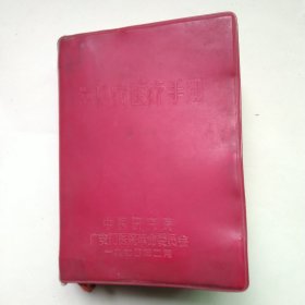 常见病医疗手册64开