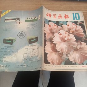 科学画报1981年10期