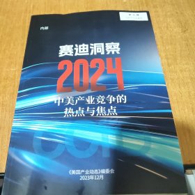 赛迪洞察2024中美产业竞争的热点与焦点