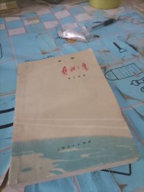 各山路,彝族之鹰