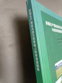 新疆生产建设兵团天然草地与牧草资源图集