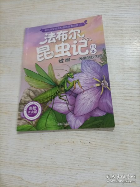 短翅芫菁：虚伪的绅士（彩绘美图版）/法布尔昆虫记绘本