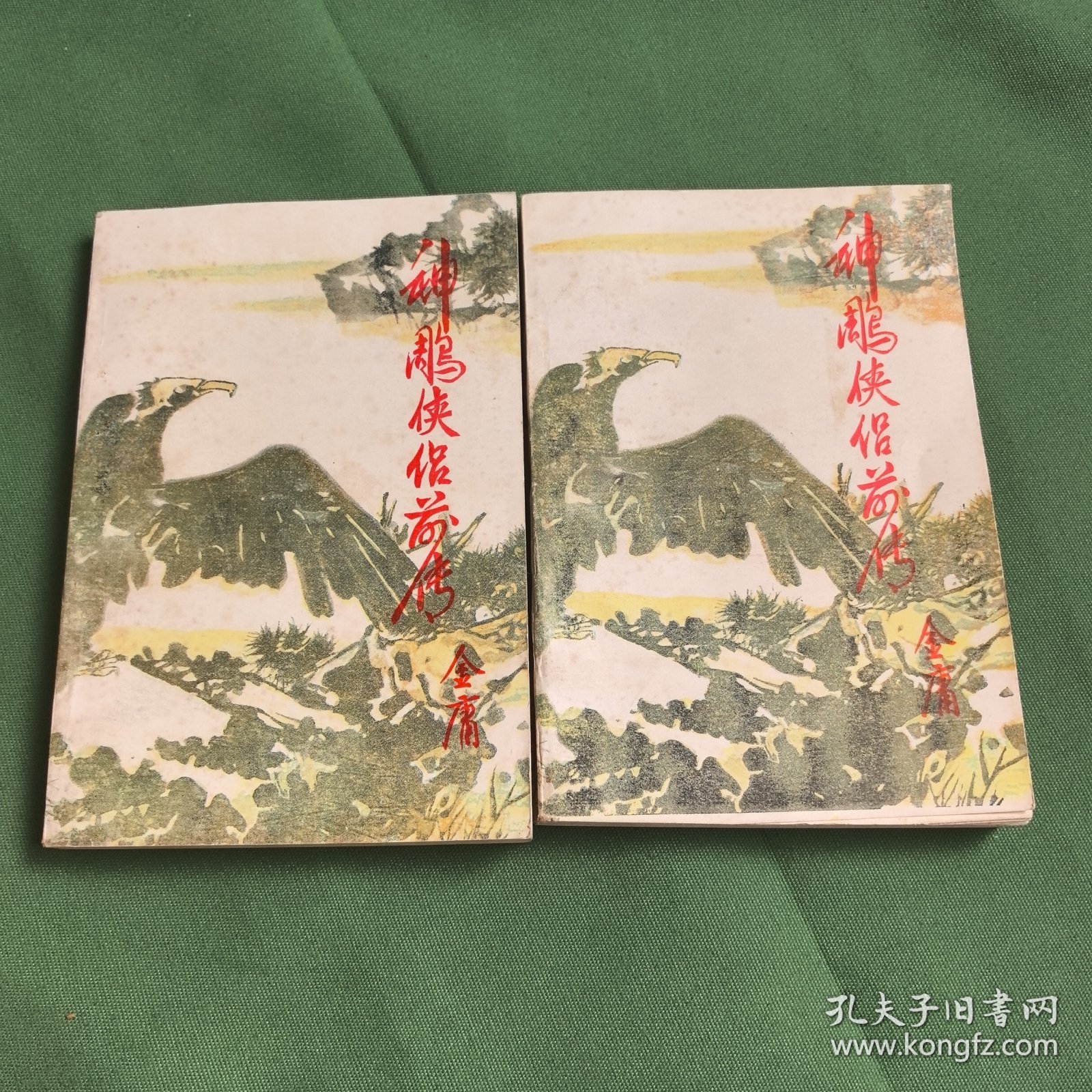 神雕侠侣前传。金庸著作。