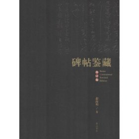 碑帖鉴藏赵海明 著山社9787546152677全新正版