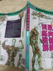 肌肉健美训练图解