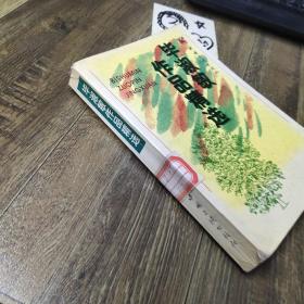 毕淑敏作品精选