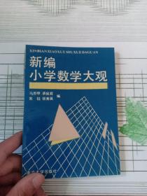 新编小学数学大观