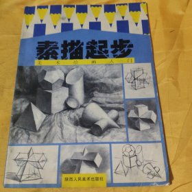 美术绘画入门素描起步