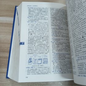 学生实用英汉大词典
